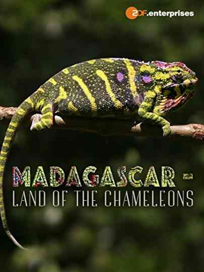 Madagascar: Land of the Chameleons