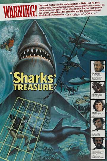 Sharks Treasure