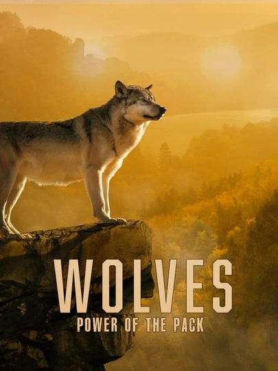 Wolves Power of the Pack Poster