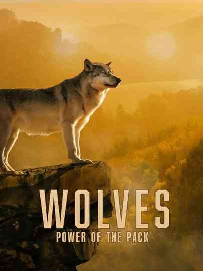Wolves Power of the Pack