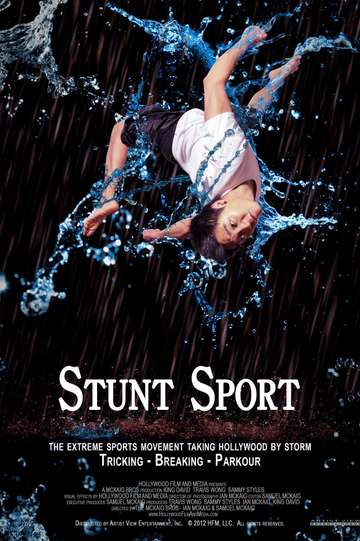 Stunt Sport Poster