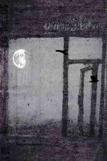 Out Beyond the Window