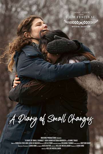A Diary of Small Changes Poster