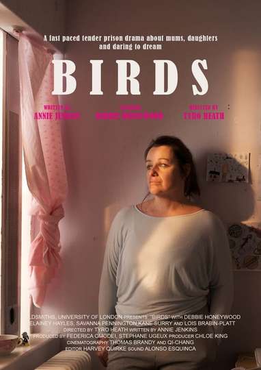 Birds Poster