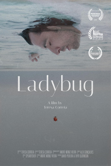 Ladybug Poster