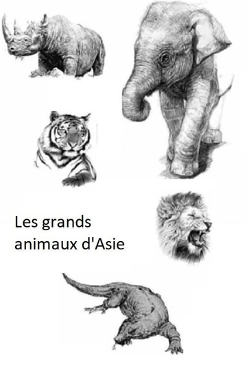 Les Grands Animaux d'Asie