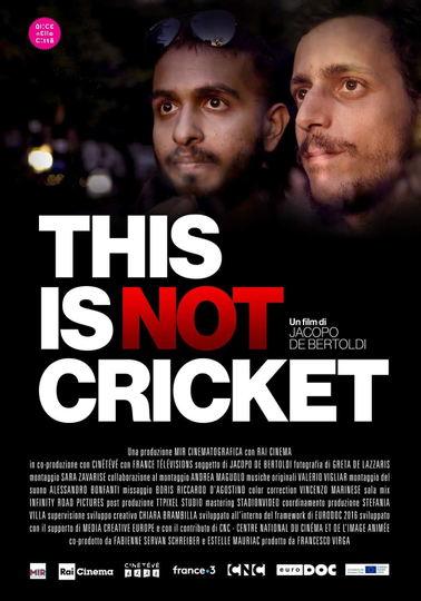 This is not Cricket Poster