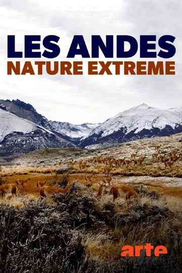 Die Anden - Natur am Limit poster