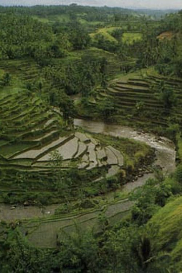 The Three Worlds of Bali