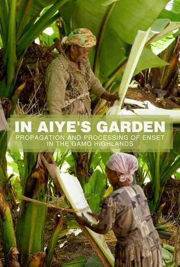 In Aiyes Garden Propagation And Processing of Enset in the Gamo Highlands