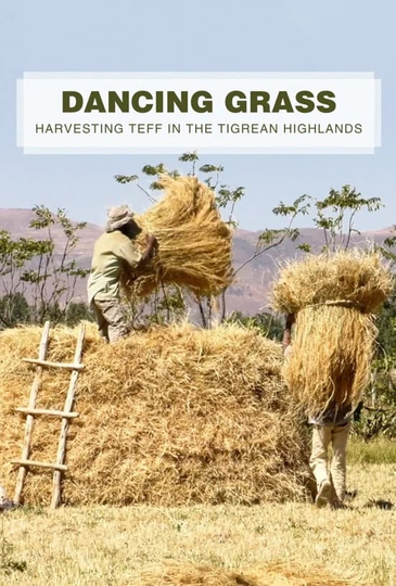 Dancing Grass Harvesting Teff in the Tigrean Highlands