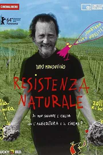 Resistenza alsaziana