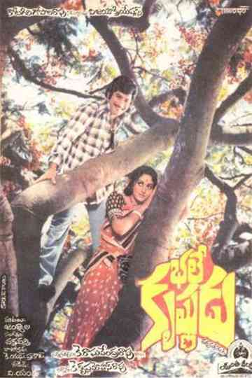 Bhale Krishnudu Poster