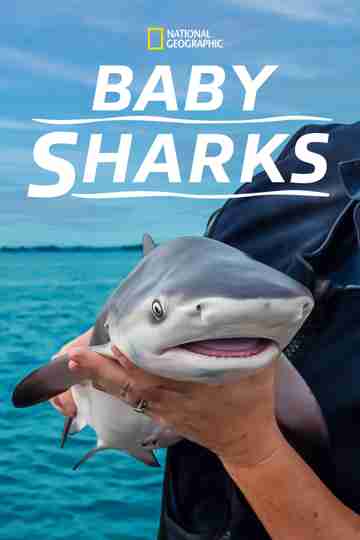 Baby Sharks Poster