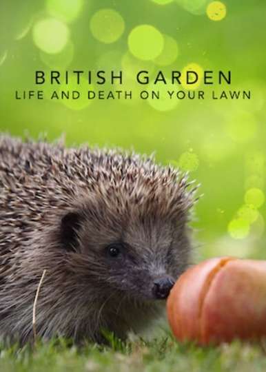 The British Garden Life and Death on Your Lawn