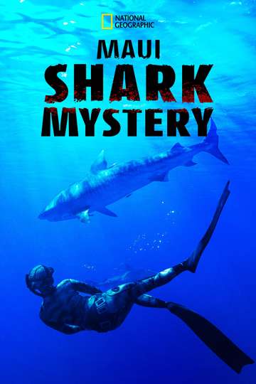 Maui Shark Mystery Poster