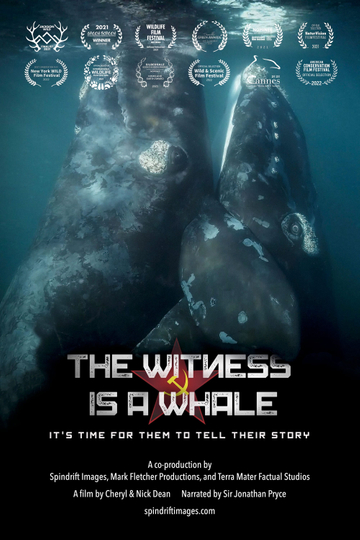 The Witness is a Whale Poster