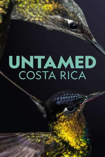 Untamed Costa Rica with Filipe DeAndrade
