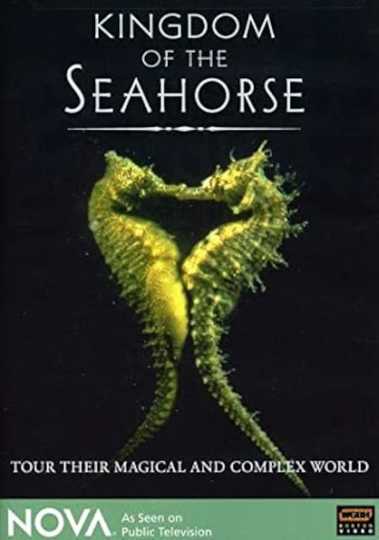 Kingdom of the Seahorse Poster