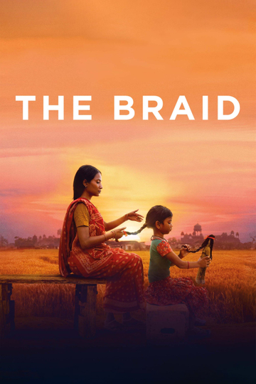 The Braid Poster