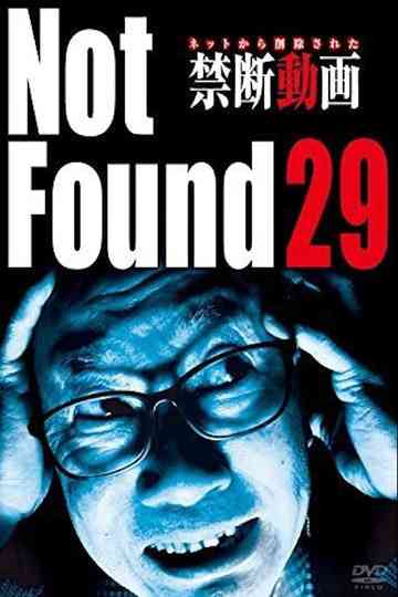Not Found 29 poster