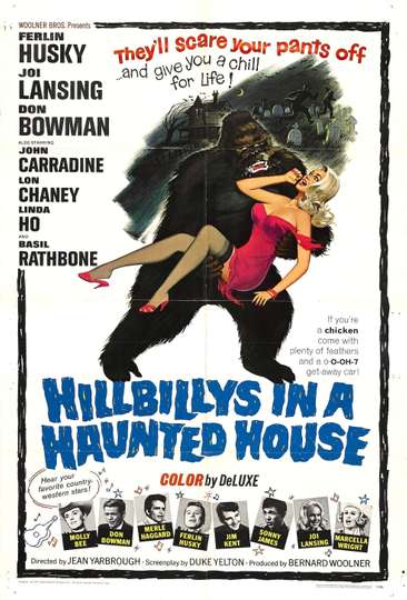 Hillbillys in a Haunted House Poster