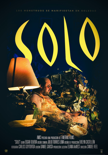 Solo Poster