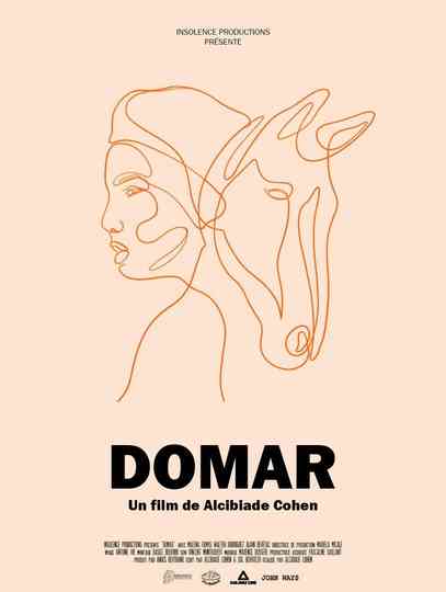 Domar