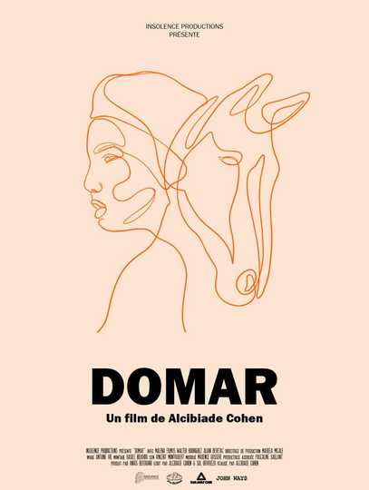 Domar