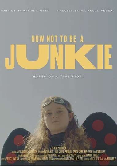 How Not to Be a Junkie Poster