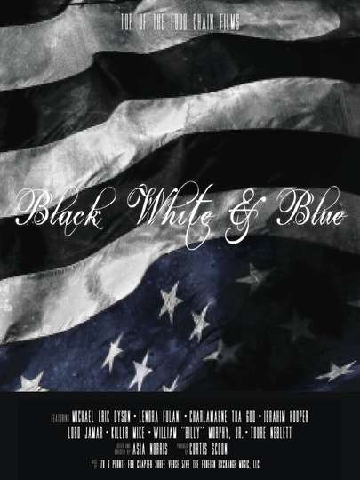 Black White  Blue Poster