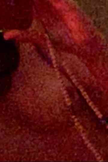 I Give My Heart a Medal for Letting Go of You Poster