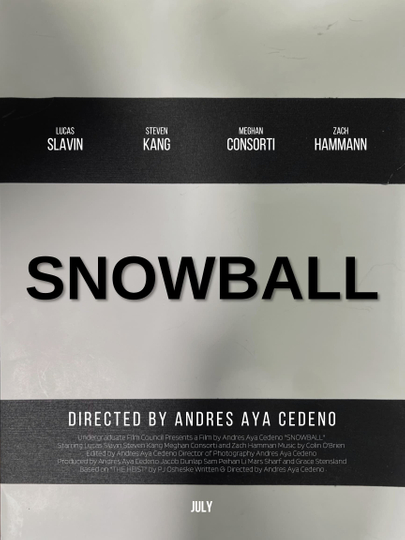 Snowball Poster