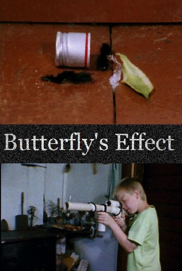 Butterflys Effect