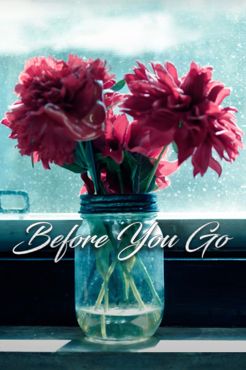 Before You Go Poster