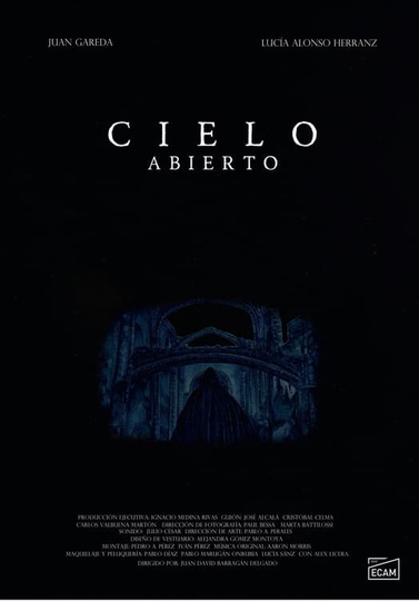 Cielo Abierto Poster