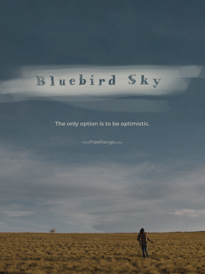 Bluebird Sky Poster