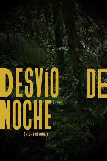 Night Detour Poster