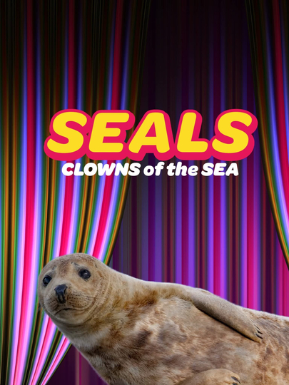 Seals  Clowns of the Sea