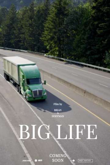 Big Life Poster