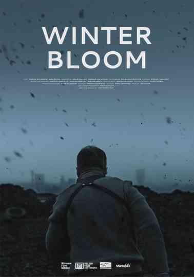 Winter Bloom