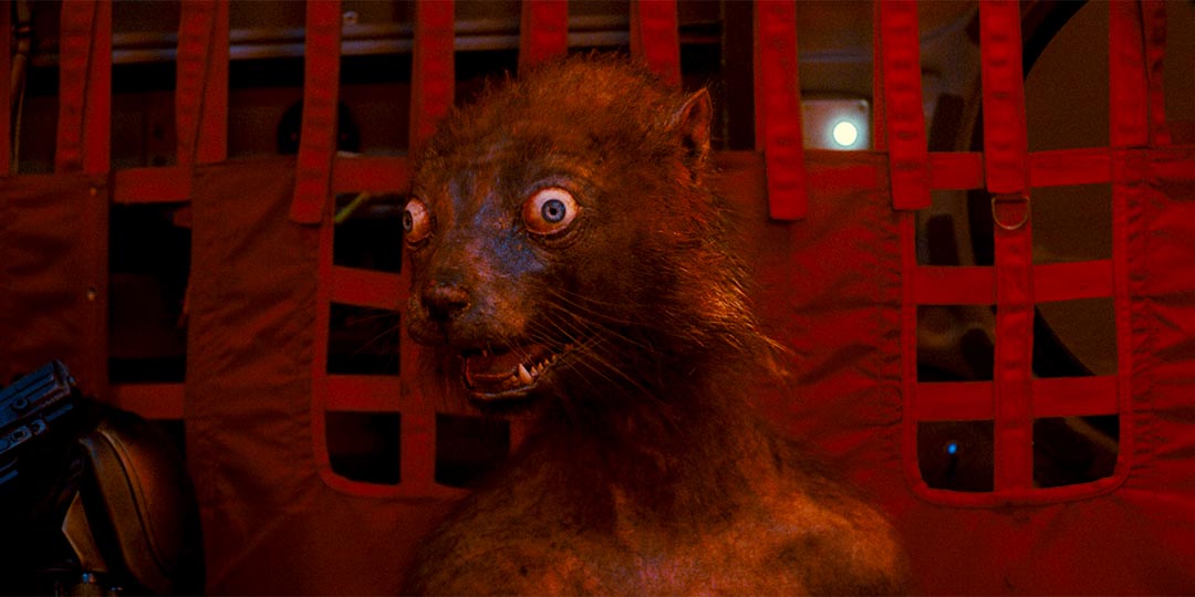 Sean Gunn plays Weasel in 'The Suicide Squad'