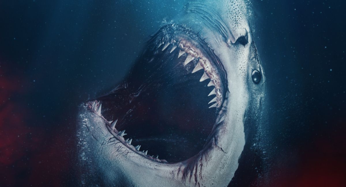 'The Requin' opens in theaters, on digital, and On Demand beginning January 28, 2022. 