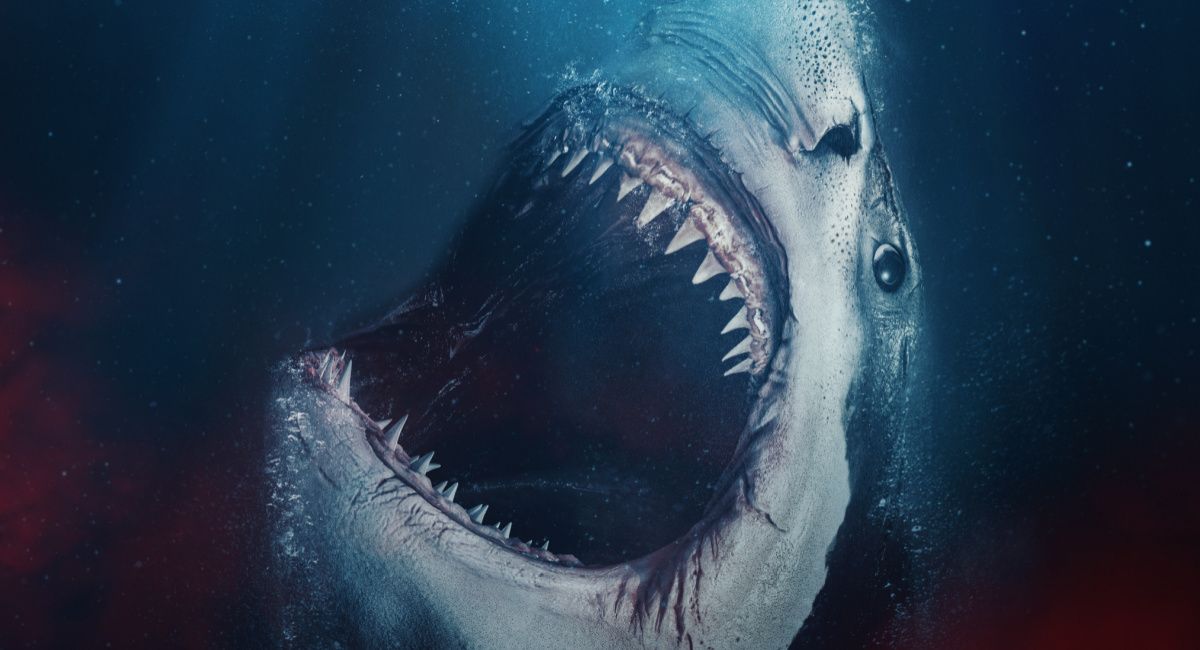 https://cdn.moviefone.com/wp-content/uploads/2022/01/Requin-Key-Art-Hi_Res-1-copy.jpg?q=80