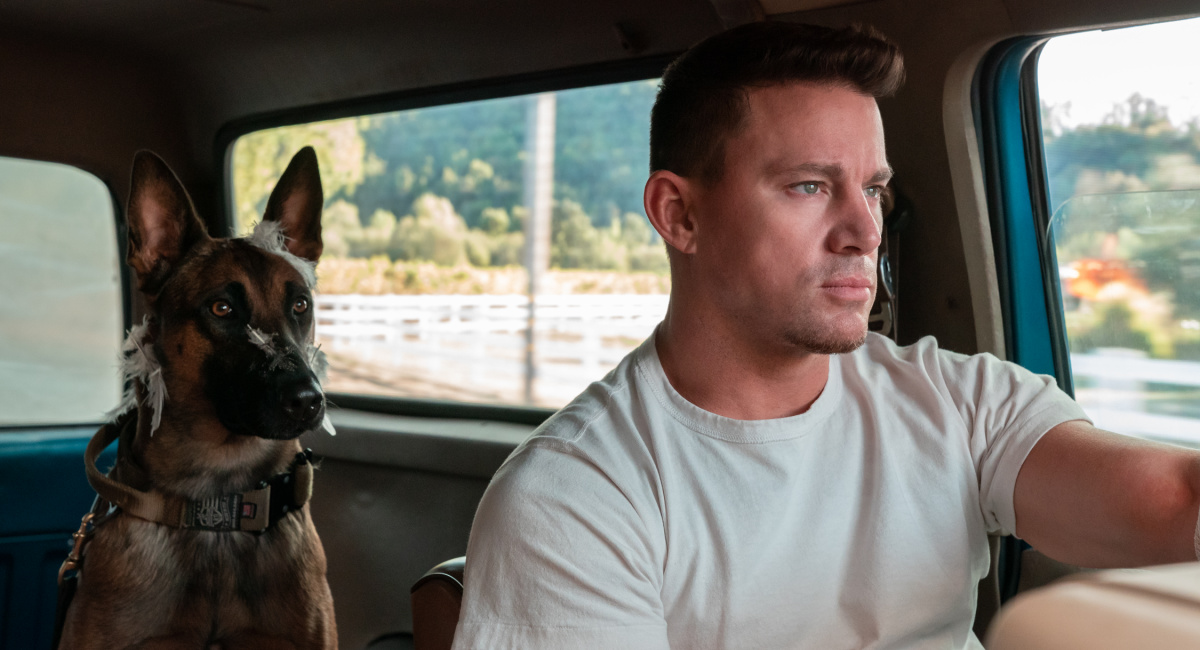 (L to R) Lulu the Belgian Malinois and Channing Tatum 'Dog.' A Metro Goldwyn Mayer Pictures film. Photo credit: Hilary Bronwyn Gayle/SMPSP. © 2022 Metro-Goldwyn-Mayer Pictures Inc. All Rights Reserved.