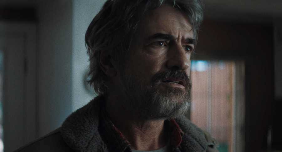 Dermot Mulroney Talks Thriller ‘Gone in the Night’