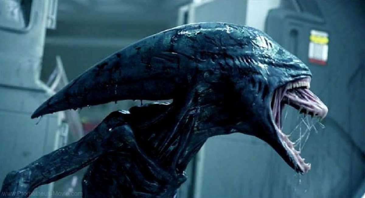 Cailee Spaeny in Talks for The New Alien Movie