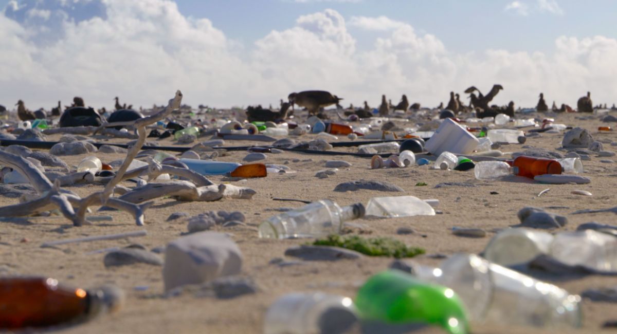 'Our Planet II' premieres June 14th on Netflix.