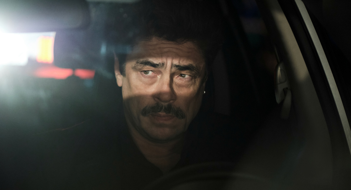 Benicio del Toro as Tom Nichols in 