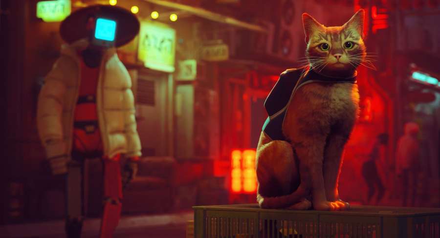 ‘Stray’ Video Game Adaptation in the Works